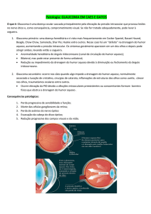 Patologia: GLAUCOMA EM CAES E GATOS