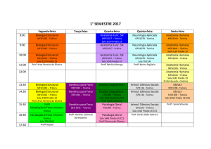 1º semestre 2017