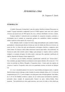 TEMA DE Artemísia cina - Dr. Taiguara F. Durks