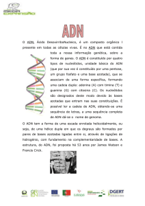 ADN O ADN, Ácido DesoxirriboNucleico, é um composto orgânico l