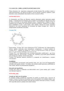 fibra alimentar emulsificante - leia a matéria completa ( pdf )