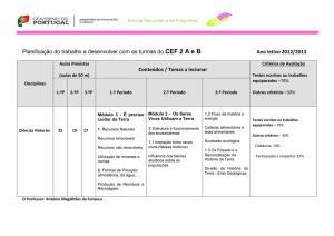 CEF 2 A e B Ano letivo 2012/2013 - Escola Secundária de Felgueiras
