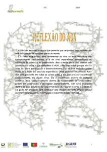 STC 2010 Reflexão do ADn ADN é um material biológico que
