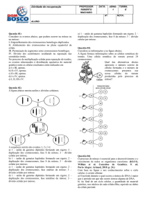 Atividade de recuperação PROFESSOR ROBERTO MACHADO