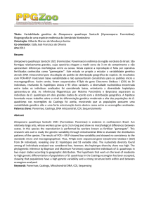 Título: Variabilidade genética de Dinoponera quadriceps Santschi