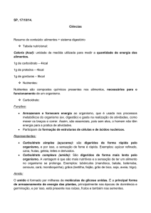 SP, 17/10/14. Ciências Resumo do conteúdo: alimentos + sistema