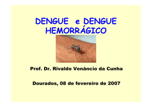 O que é o dengue