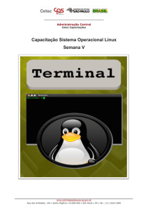 Capacitação Sistema Operacional Linux Semana V