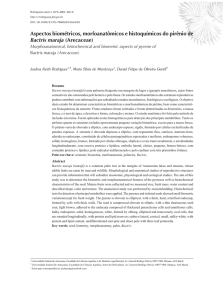 Morphoanatomical, histochemical and biometric