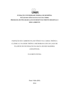 partição do carbono planctônico na cadeia trófica - Pgdra