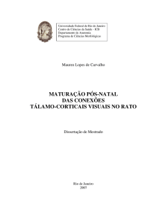 MATURA&Ccedil;&Atilde;O P&Oacute;S-NATAL DAS CONEX&Otilde;ES T&Aacute;LAMO