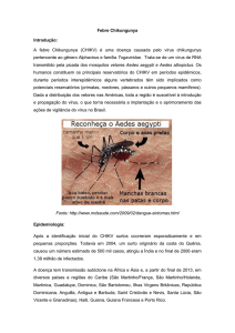 A febre Chikungunya