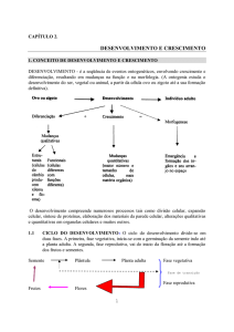 desenvolvimento e crescimento