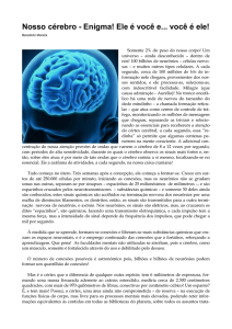 - Nosso Cérebro –