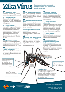 Infográfico - Zika Vírus