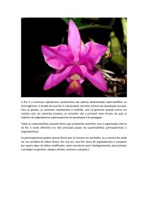 A flor é a estrutura reprodutora característica das plantas
