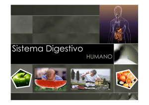 Sistema Digestivo I - ABciências.Webnode.pt