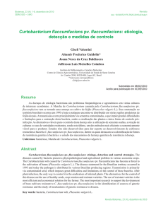 Curtobacterium flaccumfaciens pv. flaccumfaciens: etiologia