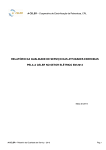 Relatório da Qualidade e Serviço 2013