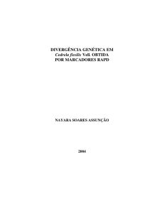 DIVERGÊNCIA GENÉTICA EM Cedrela fissilis Vell. OBTIDA POR
