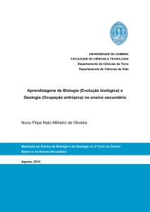 RELATÓRIO DE ESTÁGIO NUNO MILHEIRO