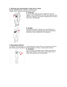 Qual a importância de fazer alongamentos