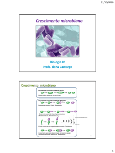 Crescimento microbiano - Laboratório de Biologia