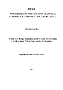 Cultivo do Sorgo Sacarino, em Sucessão à Crotalária e Aplicação