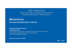 microcefalia - Ministério do Planejamento