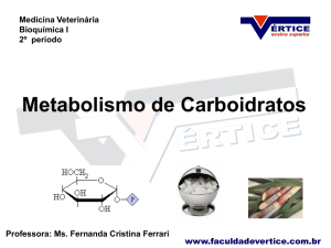 Metabolismo de Carboidratos