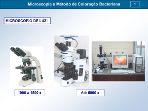 Microscopia e Método de Coloração Bacteriana
