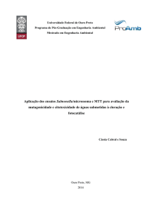 Aplicação dos ensaios Salmonella/microssoma e MTT para