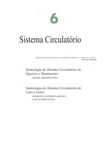 Sistema Circulatório