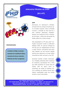 BIO ATP - Laboratório NutraMedic