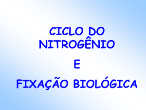 aula 10 - Ciclo do nitrogenio e fixação biologica do N