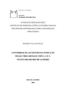 contribuição ao estudo da infecção pelos vírus dengue tipo 1, 2 e 3
