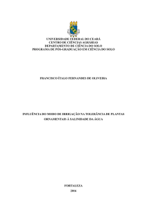 Dissertação Nº 301 - Solos e Nutrição de Plantas / UFC