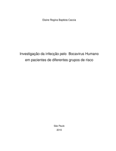 Investigação da infecção pelo Bocavirus Humano em pacientes de