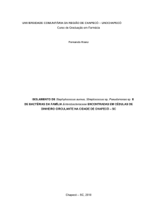 Isolamento de enterobactérias em cédulas de