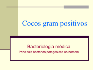Cocos gram positivos