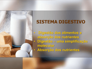 O Sistema Digestivo no Homem