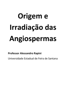 Professor Alessandro Rapini Universidade