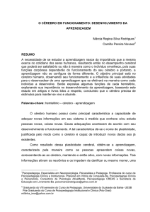 o c&eacute;rebro em funcionamento: desenvolvimento da