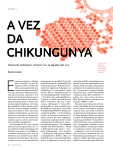 A veZ dA chikungunyA - Revista Pesquisa Fapesp