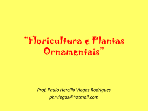 Floricultura e Plantas Ornamentais