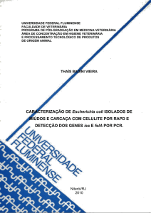 CARACTERIZAÇÃO DE Escherichia coli ISOLADOS DE