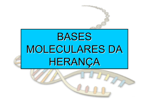 Aula 7 Base molecular Heranca