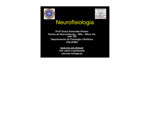 Neurofisiologia - Núcleo de Neurociências