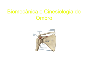 Biomecânica e Cinesiologia do Ombro
