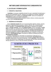 Glicolise, Respiração e Via das Pentoses Fosfato